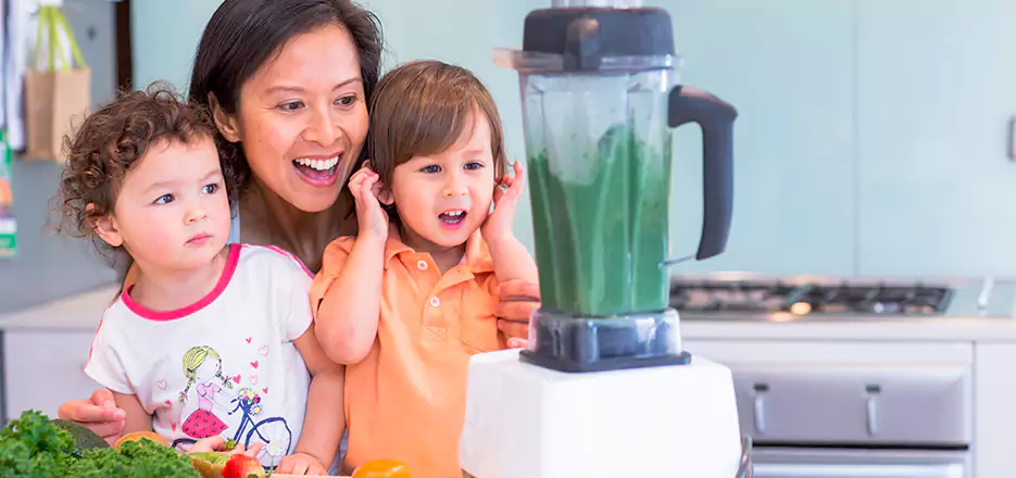 Juicer and Mixer Blender Repair in Athol 