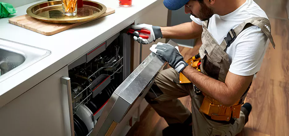 Same Day Dishwasher Not Draining Repair in Athol