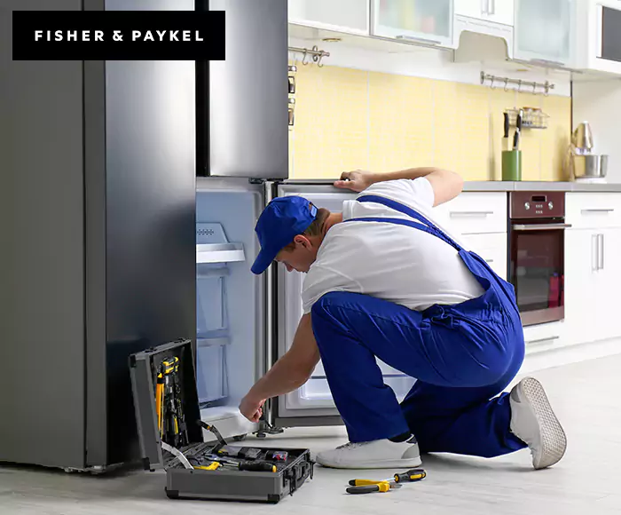 Top-Rated Fisher & Paykel Appliance Experts: Your Brand Specialist in Athol, MA